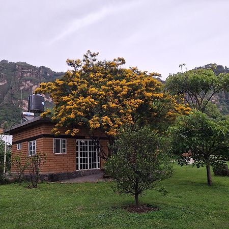 Posada Meztitla Tepoztlan Exterior photo