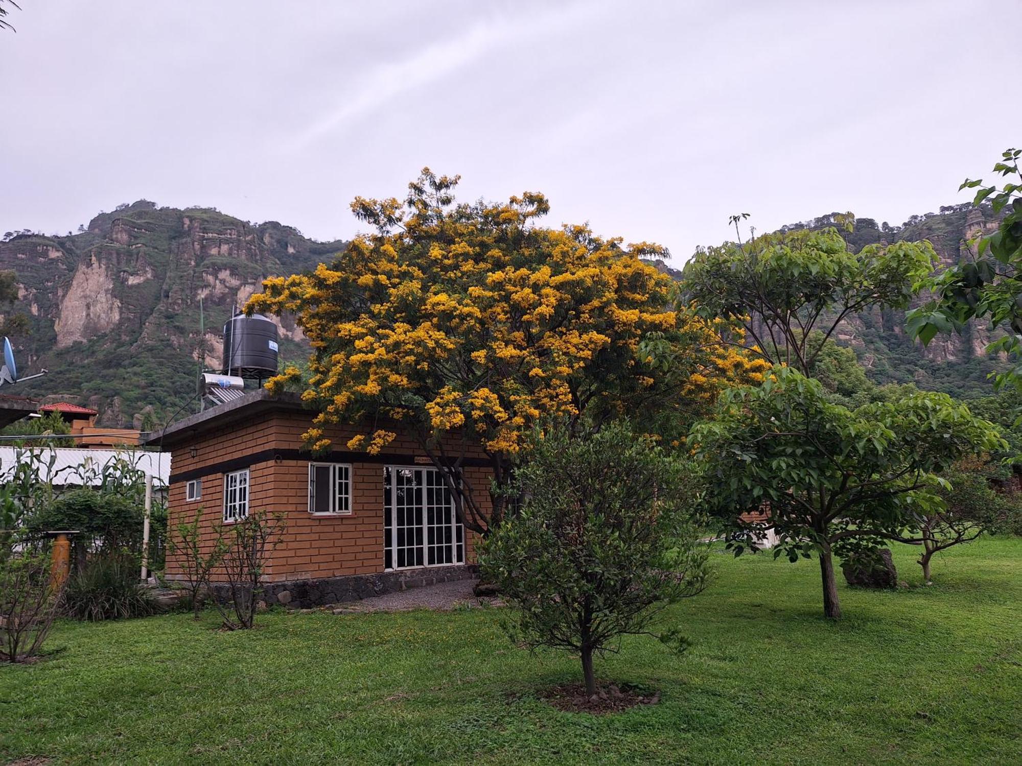 Posada Meztitla Tepoztlan Exterior photo